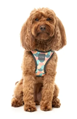 FuzzYard Carioca - Dog Step In Harness