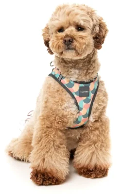 FuzzYard Carioca - Dog Step In Harness
