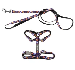 FuzzYard Caturday Night Fever - Cat Walking Set