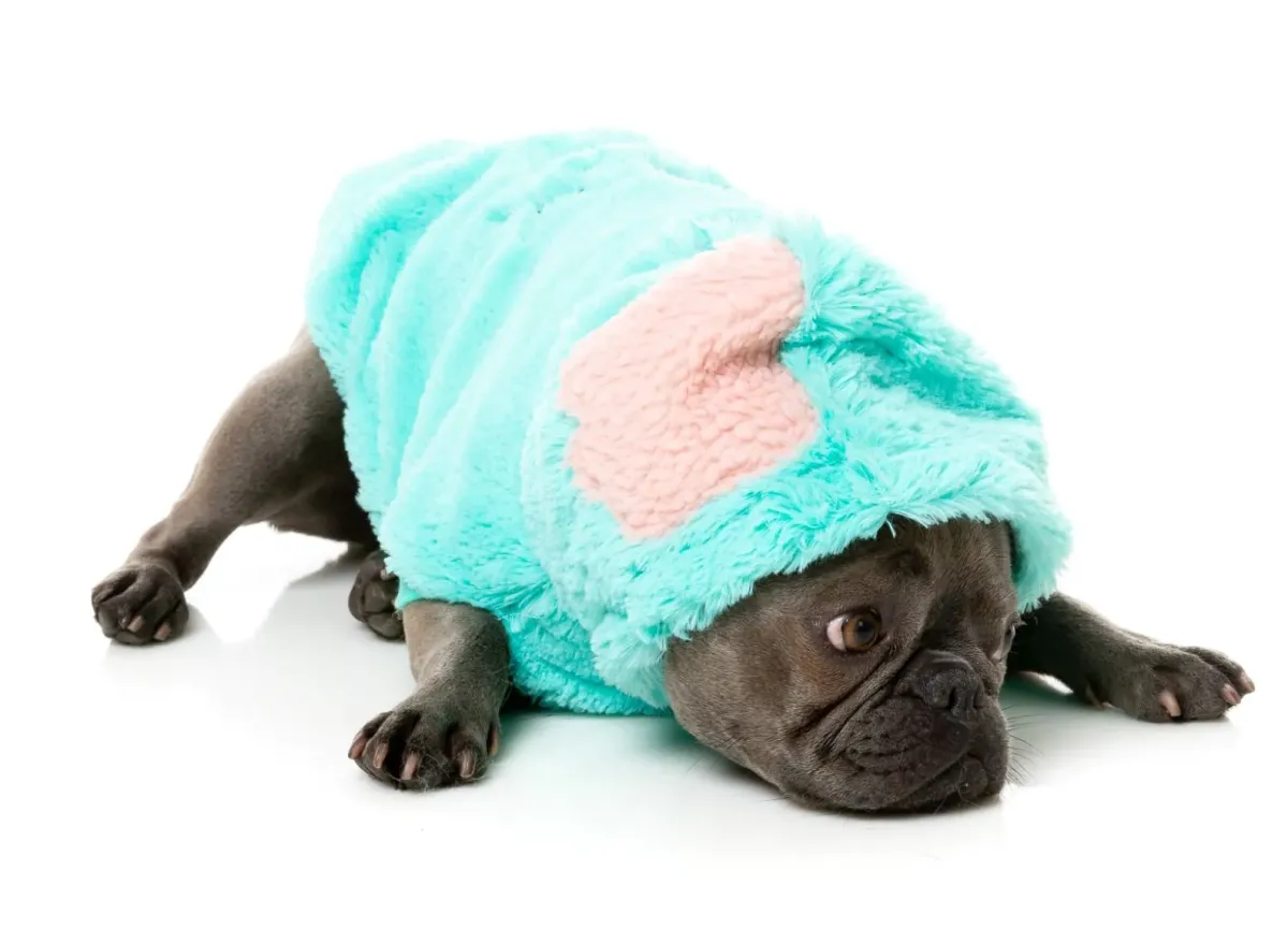 FuzzYard Cerebella The Zombie - Fluffy Hoodie Costume