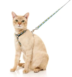 FuzzYard Cheesy Hearts - Cat Walking Set