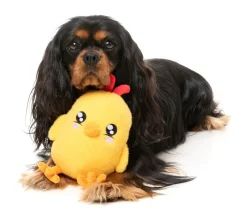 FuzzYard Chicka-Dee - Dog Toy