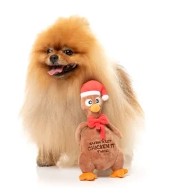 FuzzYard Chicken It Twice Chook - Dog Toy