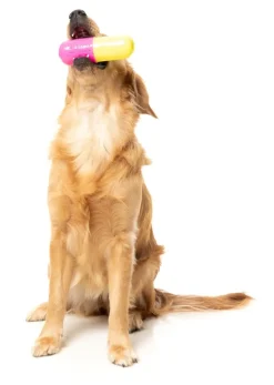 FuzzYard Chill Pill - Interactive Chew Toy