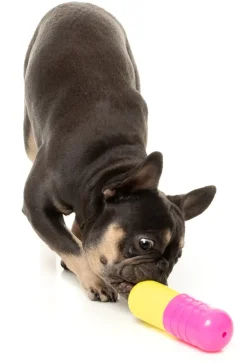 FuzzYard Chill Pill - Interactive Chew Toy