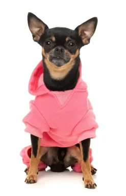 FuzzYard Chillin' Tracksuit - Pink