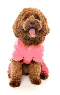 FuzzYard Chillin' Tracksuit - Pink