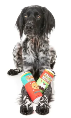 FuzzYard Christmas Seltzers 2PK - Dog Toy
