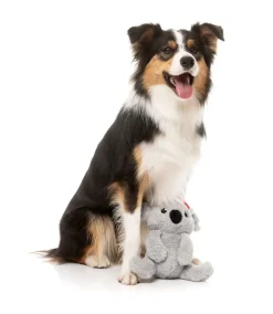 FuzzYard Coco Koala - Dog Toy