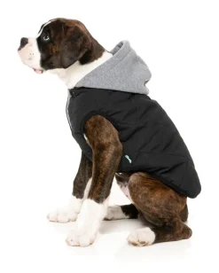 FuzzYard Cremorne Hoodie - Black