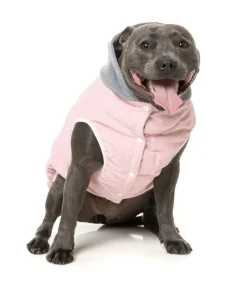 FuzzYard Cremorne Hoodie - Pink