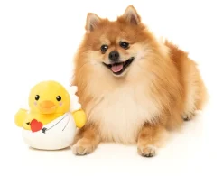 FuzzYard Cupid Duck - Dog Toy