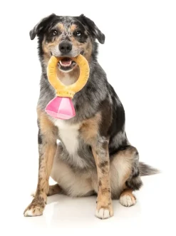 FuzzYard Diamond In The Ruff Ring - Dog Toy