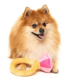 FuzzYard Diamond In The Ruff Ring - Dog Toy