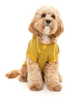 FuzzYard Dijon Street Hoodie