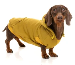 FuzzYard Dijon Street Hoodie