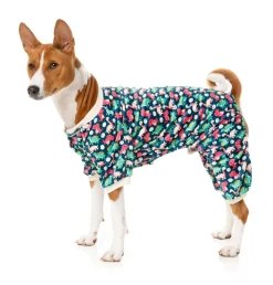 FuzzYard Dinosaur Land Pajamas