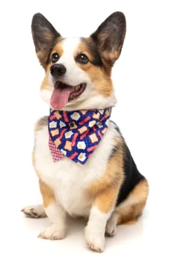 FuzzYard Dog Bandana - Bacon and Eggs