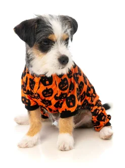 FuzzYard Dog Pajamas - Pumpkin Patch