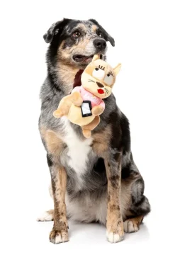 FuzzYard Dog Toy - #Ashleigh