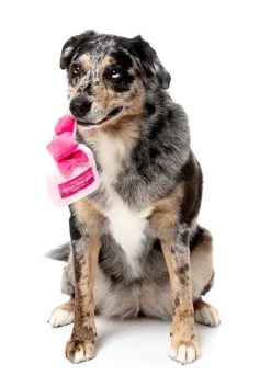 FuzzYard Dog Toy - Better Than You Parfum