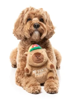 FuzzYard Dog Toy - Capy-bara