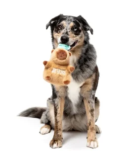 FuzzYard Dog Toy - Capy-ccino
