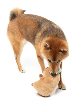 FuzzYard Dog Toy - Capy-ccino