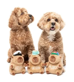 FuzzYard Dog Toy - Capy-tain