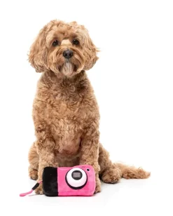FuzzYard Dog Toy - Digicam