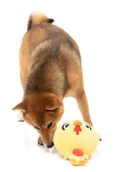 FuzzYard Dog Toy - Hen Diesel