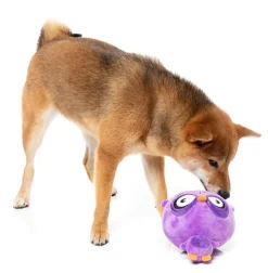 FuzzYard Dog Toy - Hoo-dini