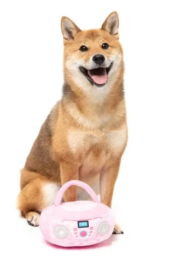 FuzzYard Dog Toy - Portable CD Player