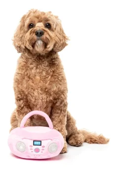 FuzzYard Dog Toy - Portable CD Player