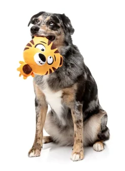 FuzzYard Dog Toy - Roarnaldo