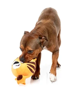 FuzzYard Dog Toy - Roarnaldo