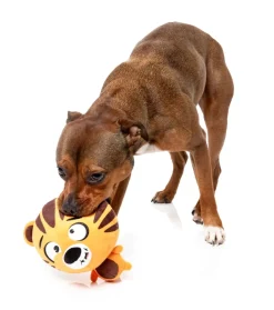 FuzzYard Dog Toy - Roarnaldo