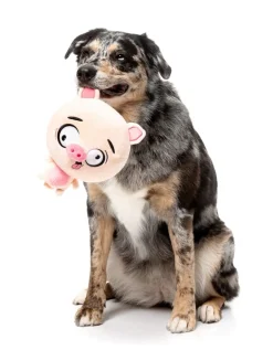 FuzzYard Dog Toy - Snoop Hogg