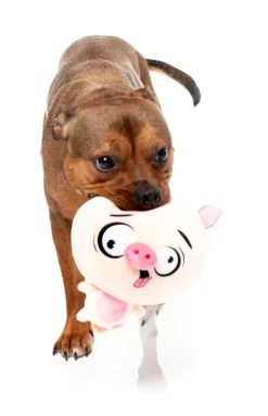 FuzzYard Dog Toy - Snoop Hogg