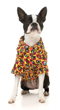 FuzzYard Doggoforce Button Up Shirt