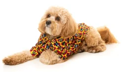 FuzzYard Doggoforce Button Up Shirt