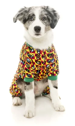 FuzzYard Doggoforce Pajamas