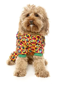FuzzYard Doggoforce Pajamas
