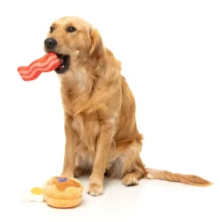 FuzzYard Dog's Breakfast 3PK - Dog Toy