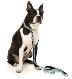 FuzzYard Dreamtime Koala - Dog Lead