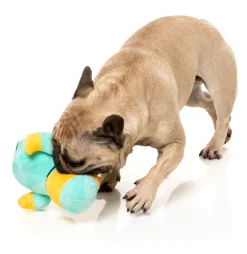 FuzzYard Ducktor - Dog Toy