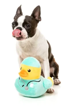 FuzzYard Ducktor - Dog Toy