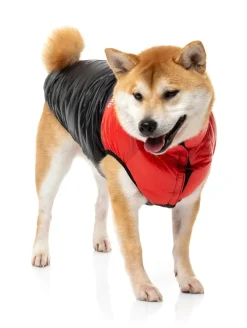 FuzzYard East Harlem Puffer Jacket - Red