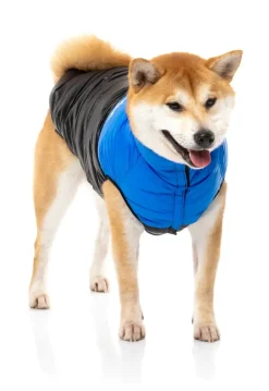 FuzzYard East Harlem Puffer Jacket - Blue