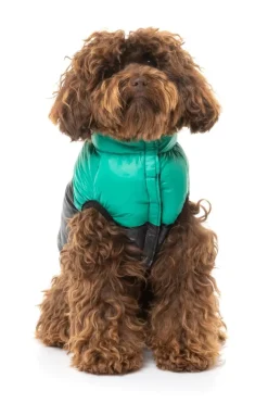 FuzzYard East Harlem Puffer Jacket - Green